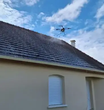 démoussage toiture à Mur-de-Sologne - image 2