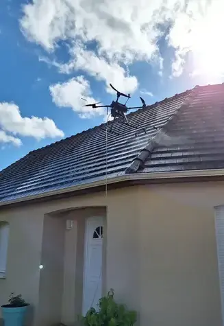 nettoyage toiture Mur-de-Sologne-1